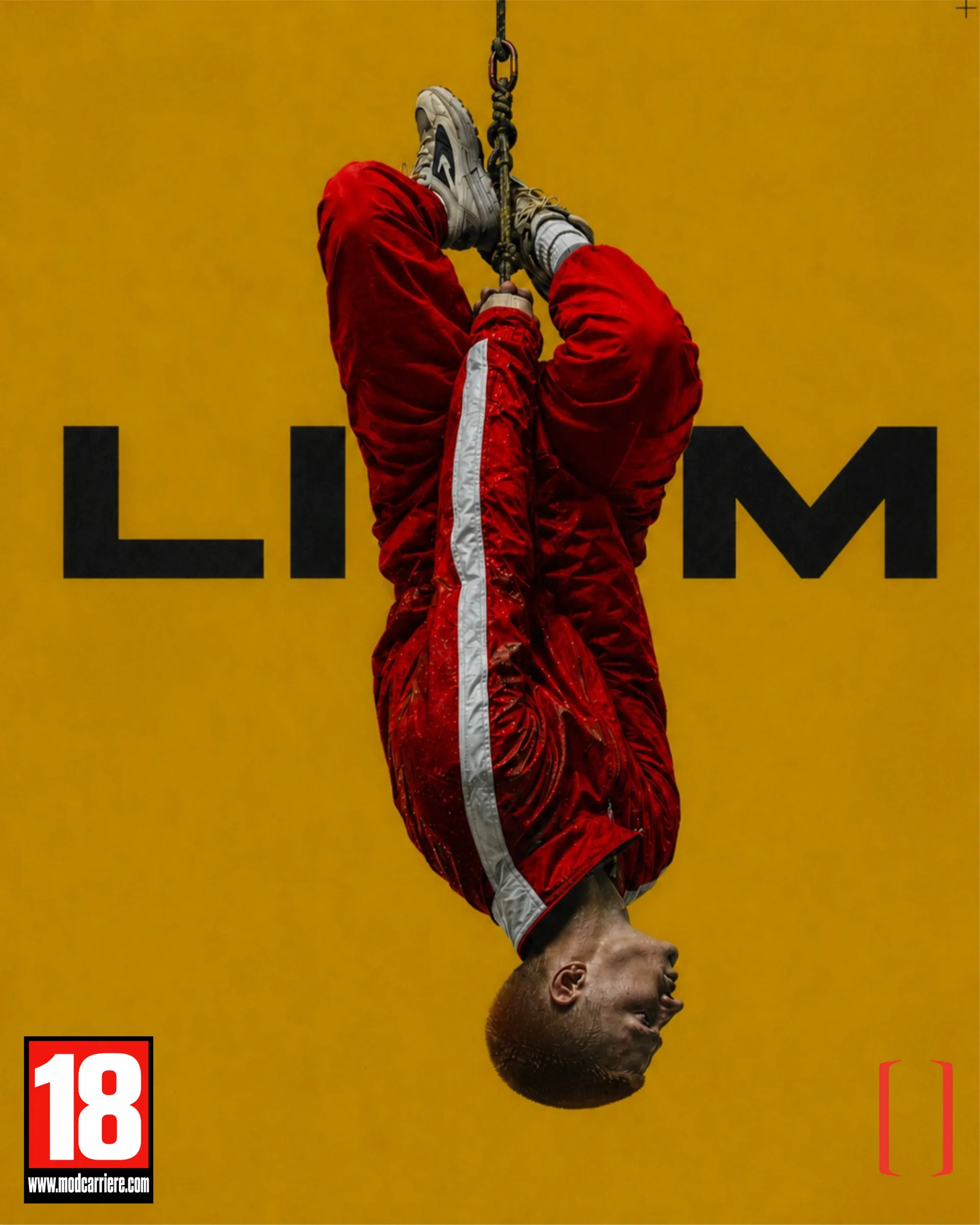 Affiche de l’atelier Liam